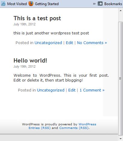 Web Browser WordPress Responsive Design